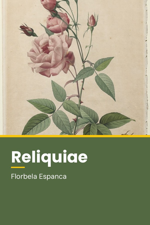 Capa do livro Reliquiae